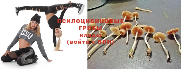 шишки Нефтекумск