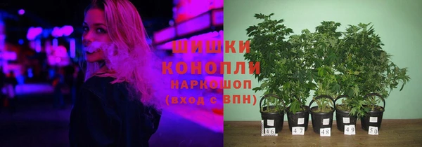 шишки Нефтекумск