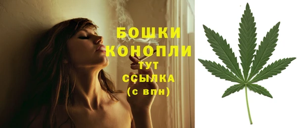хмурый Нея