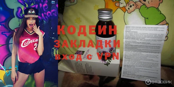 хмурый Нея