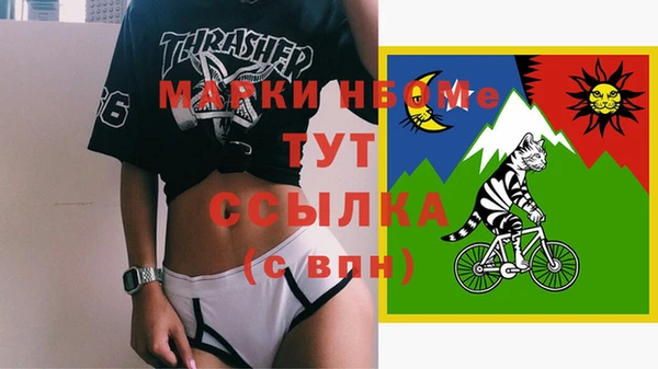хмурый Нея