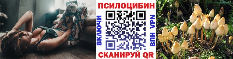 Купить Цимлянск Галлюциногенные грибы Psilocybine cubensis